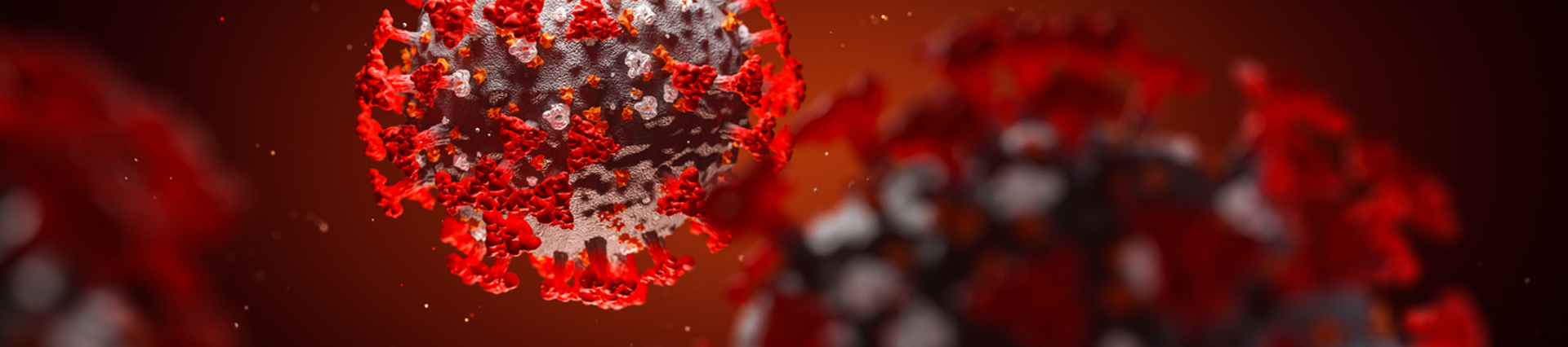 An up close image of a germ